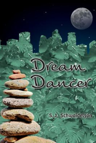 Livro Dream Dancer S J Schwaidelson