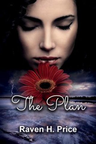 Book The Plan Raven H Price