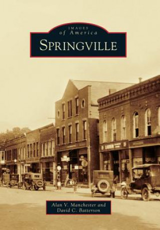 Buch Springville Alan V Manchester