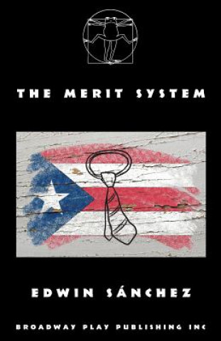 Книга Merit System Edwin Sanchez