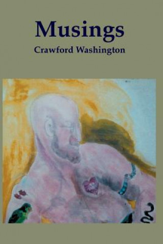 Kniha Musings: Best [rejected] Short Stories on the Continent Crawford Washington