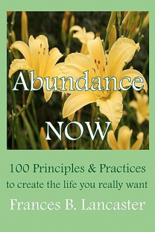 Knjiga Abundance Now: 100 Principles and Practices to create the life you really want Frances B Lancaster