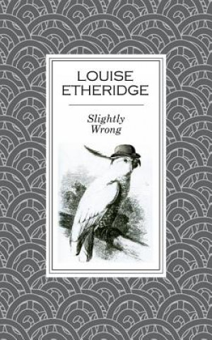 Knjiga Slightly Wrong Louise Etheridge