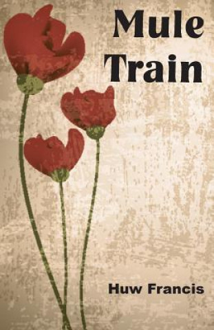 Buch Mule Train Huw Francis