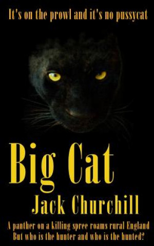 Kniha Big Cat Martin Belderson