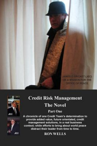 Kniha Credit Risk Management - The Novel: Part One Ron Wells