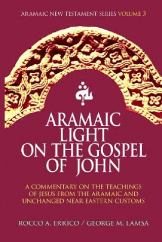 Knjiga Aramaic Light on the Gospel of John Dr Rocco a Errico