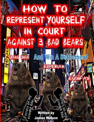 Kniha How to Represent yourself in Court Against 3 Bad Bears And win A Settlement: Win A Settlement Against Trans Union, Experian, Equifax MR James L Watson