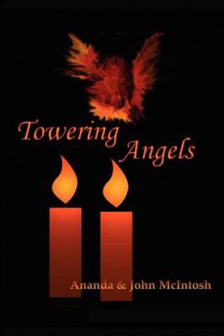 Boek Towering Angels Ananda McIntosh
