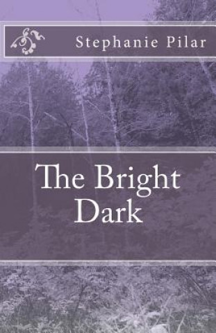 Könyv The Bright Dark MS Stephanie Pilar
