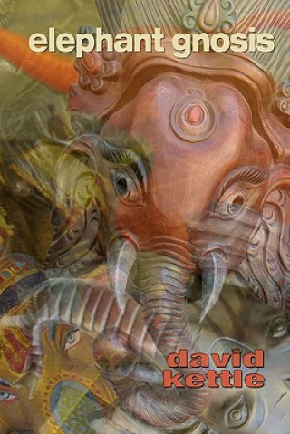 Kniha Elephant Gnosis David Kettle