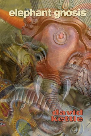 Книга Elephant Gnosis David Kettle