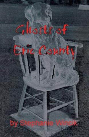 Buch Ghosts of Erie County Stephanie Wincik