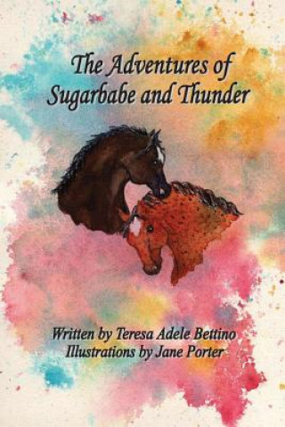 Kniha The Adventures of Sugarbabe and Thunder Teresa Adele Bettino