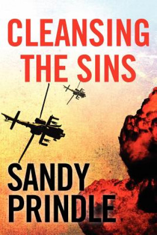 Knjiga Cleansing The Sins Sandy Prindle