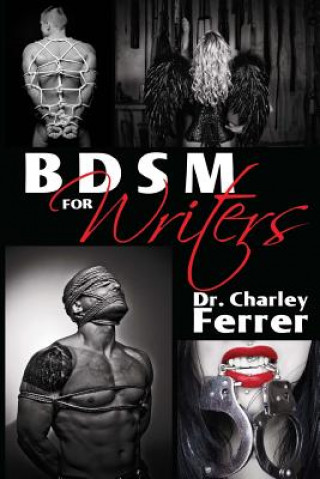 Könyv BDSM for Writers Charley Ferrer