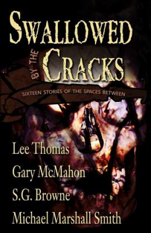 Kniha Swallowed By The Cracks Lee Thomas