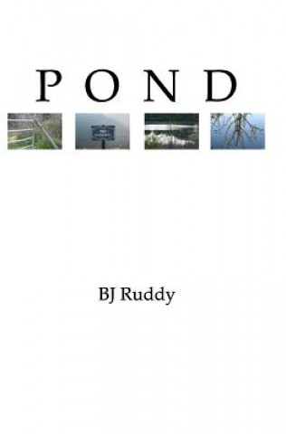 Книга Pond B J Ruddy