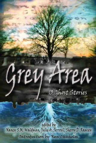 Książka Grey Area: 13 Ghost Stories Nancy S M Waldman