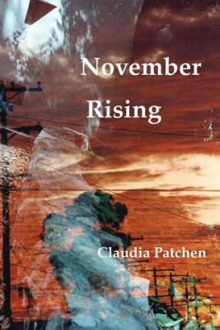 Kniha November Rising: A Poetic Journey Claudia Patchen