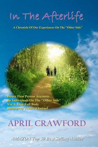 Kniha In The Afterlife: A Chronicle Of Our Experiences On The "Other Side" Direct Personal Life After Death Accounts By Individuals On The "Ot April Crawford