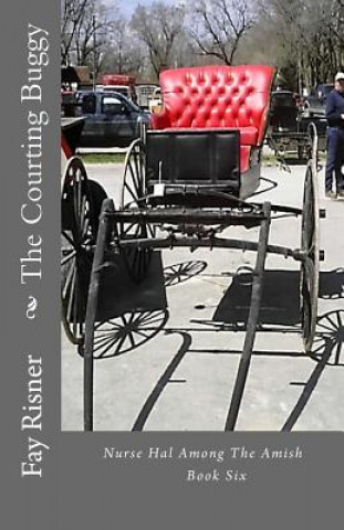 Kniha The Courting Buggy: Nurse Hal Among The Amish Fay Risner