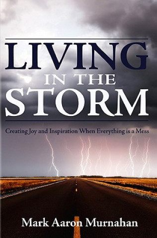 Kniha Living in the Storm: Creating Joy and Inspiration When Everything is a Mess Mark Aaron Murnahan