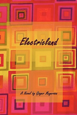 Kniha Electricland Ginger Mayerson