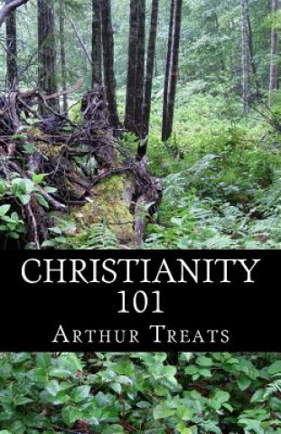 Knjiga Christianity 101 Arthur Treats