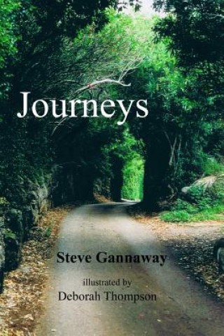 Kniha Journeys Steve Gannaway