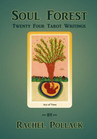 Kniha Soul Forest Twenty Four Tarot Writings Rachel Pollack
