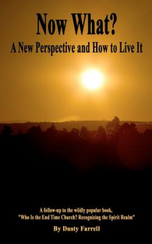 Kniha Now What?: A New Perspective and How to Live It Dusty Farrell