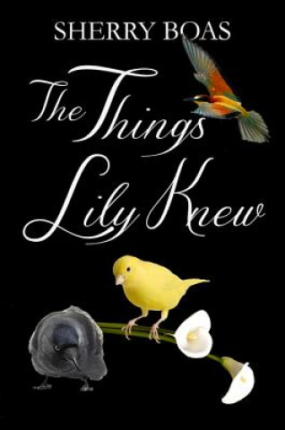 Kniha The Things Lily Knew: The Fourth in a Series Sherry Boas