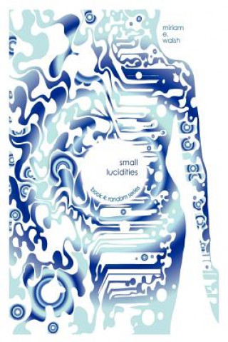 Knjiga Small Lucidities: Book 4: Random Series Miriam E Walsh