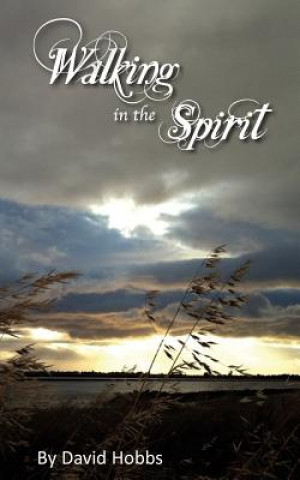 Kniha Walking in the Spirit David Hobbs