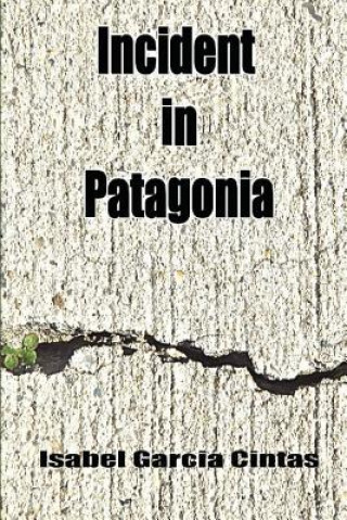 Buch Incident in Patagonia Isabel Garcia Cintas