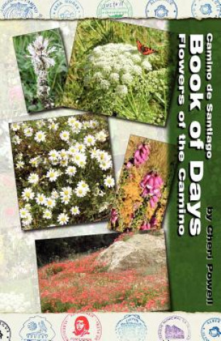 Книга Camino de Santiago Book of Days - Flowers of the Camino Cheri Powell