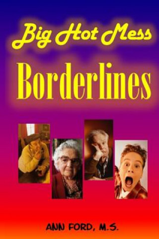 Kniha Big Hot Mess Borderlines Ann Ford