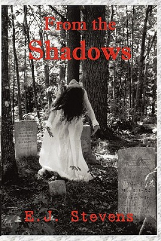 Книга From the Shadows E J Stevens