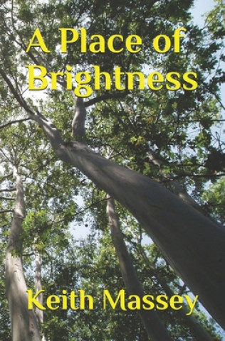 Boek A Place of Brightness Keith Massey