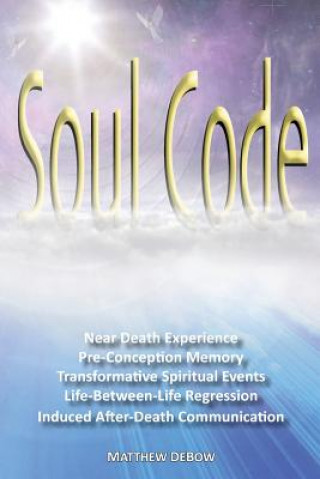 Kniha Soul Code Matthew Debow