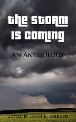 Kniha Storm is Coming Sarah E Holroyd