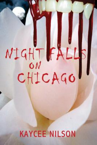 Kniha Night Falls on Chicago Kaycee Nilson