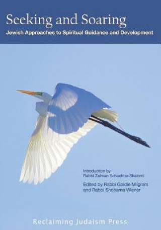 Book Seeking and Soaring: : Jewish Approaches to Spiritual Guidance and Development Rabbi Goldie Milgram