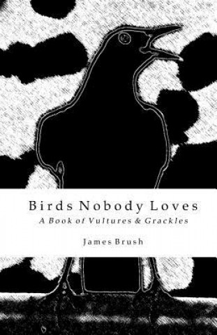 Książka Birds Nobody Loves: A Book of Vultures & Grackles James Brush