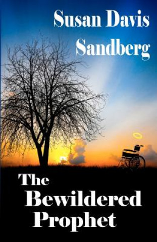 Carte The Bewildered Prophet Susan Davis Sandberg