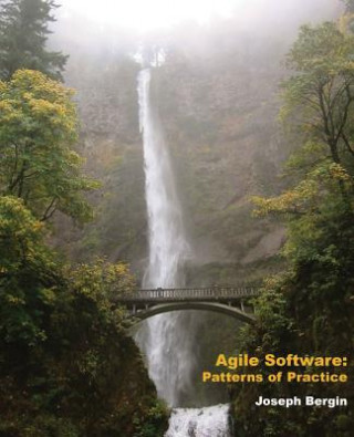 Kniha Agile Software: Patterns of Practice Joseph Bergin