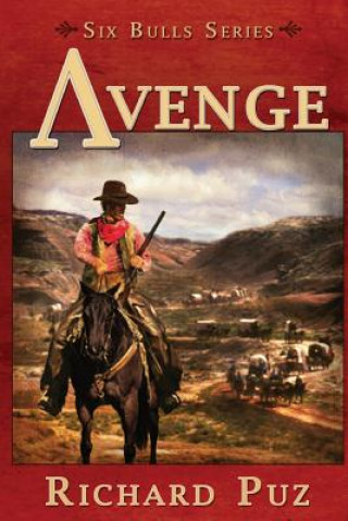 Buch Avenge Richard Puz