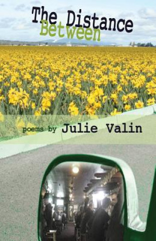 Kniha The Distance Between: poems by Julie Valin Julie Valin