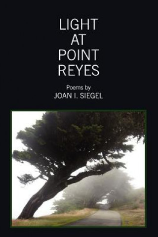 Livre Light at Point Reyes Joan I Siegel